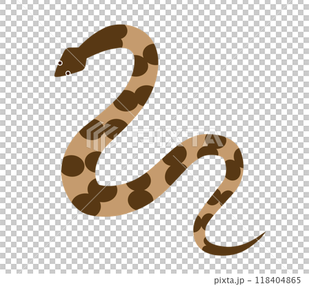 毒蛇的插圖 毒蛇的插圖 118404865