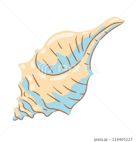 Illustration of seashell. Tropical underwater mollusk shell. 118405227