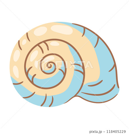 Illustration of seashell. Tropical underwater mollusk shell. 118405229