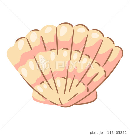 Illustration of seashell. Tropical underwater mollusk shell. Illustration of seashell. Tropical underwater mollusk shell. 118405232