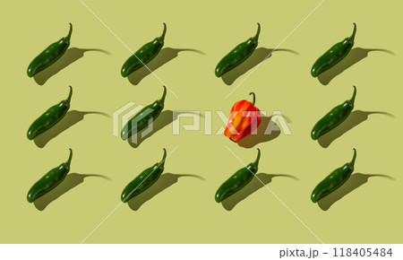 Colorful bell pepper, isolated, pattern 118405484
