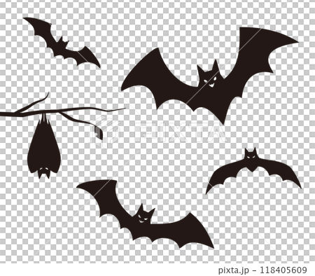 Bat silhouette Halloween 118405609