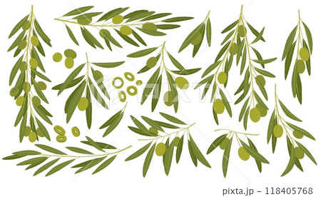 Cartoon green olives. Organic olive leaf branch, organic vegetarian food for logo design, natural green olives healthy product. Vector isolated set 118405768