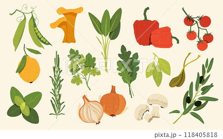 Mediterranean herbs and vegetables. Traditional Italian food ingredients, fresh basil oregano thyme rosemary, chanterelles champignon, mushrooms lemon sketch vector isolated collection 118405818