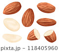 アーモンドのセット 118405960