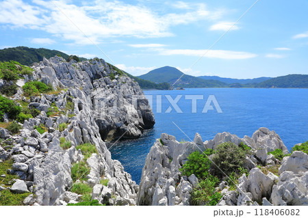 白崎海洋公園　青い海と白い岩 118406082
