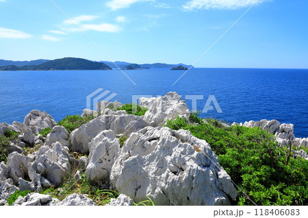 白崎海洋公園 青い海と白い岩 白崎海洋公園 青い海と白い岩 118406083