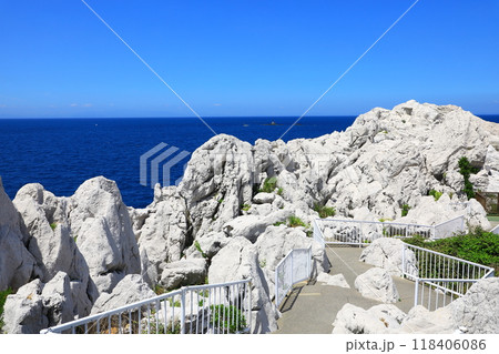 白崎海洋公園　青い海と白い岩 118406086