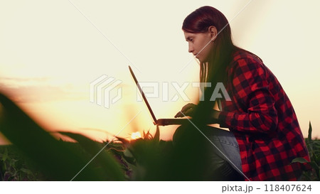 agriculture, woman farmer working laptop, farm field corn, modern farm business growing, farming business tech, cornfield technology use, laptop field sunset, laptop rural management, sunset farm 118407624