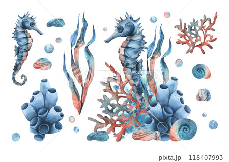 Underwater world clipart with sea animals seahorse, starfish, shells, coral and algae. Hand drawn watercolor illustration. Set of elements isolated from the background Underwater world clipart with sea animals seahorse, starfish, shells, coral and algae. Hand drawn watercolor illustration. Set of elements isolated from the background 118407993