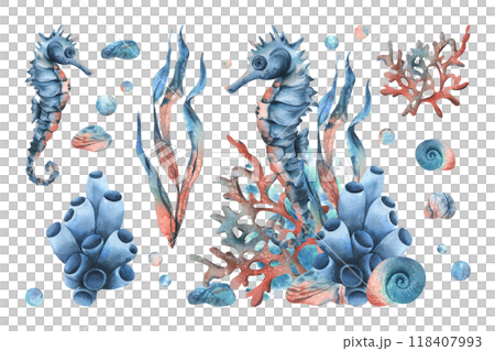 Underwater world clipart with sea animals seahorse, starfish, shells, coral and algae. Hand drawn watercolor illustration. Set of elements isolated from the background Underwater world clipart with sea animals seahorse, starfish, shells, coral and algae. Hand drawn watercolor illustration. Set of elements isolated from the background 118407993