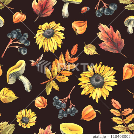 Autumn berries physalis, chokeberry, rowan leaves, maple, birch, russula mushrooms, rudbeckia flowers, tree branches and ladybugs. Watercolor illustrations. Seamless pattern on dark background 118408003