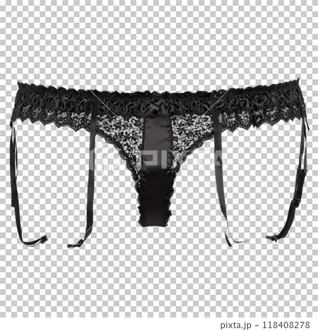 Sleek satin and lace garter belt boning for shaping adjustable straps product image in fluid 118408278