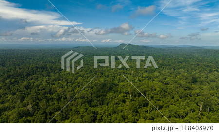 Aerial drone of lowland tropical forest and jungle. Borneo, Malaysia. Aerial drone of lowland tropical forest and jungle. Borneo, Malaysia. 118408970