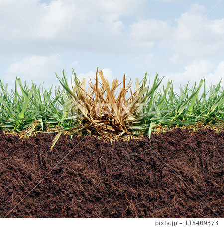 Lawn Damage Lawn Damage 118409373