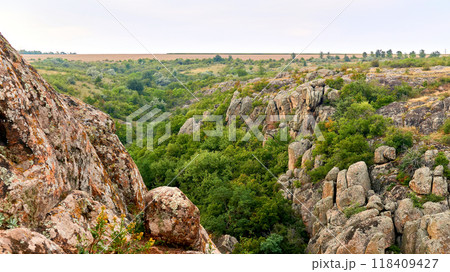 Picturesque rocky canyon with green vegetation and trees Picturesque rocky canyon with green vegetation and trees 118409427
