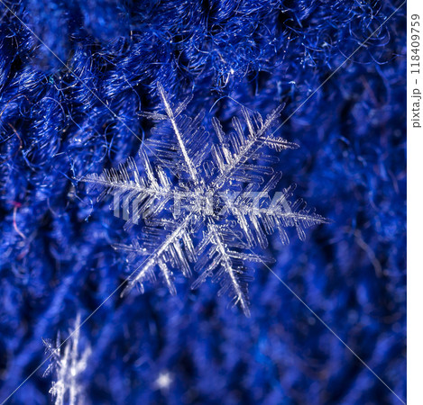 natural snowflakes on a knitted mitten natural snowflakes on a knitted mitten 118409759