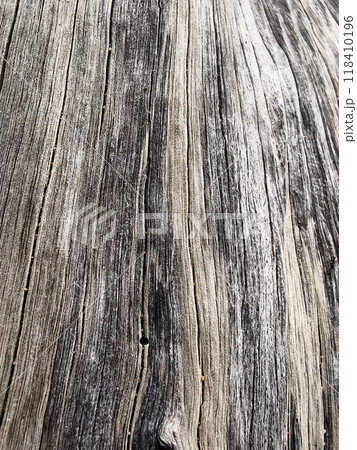 Texture of wood, highlighting the intricate texture of the wood Texture of wood, highlighting the intricate texture of the wood 118410196