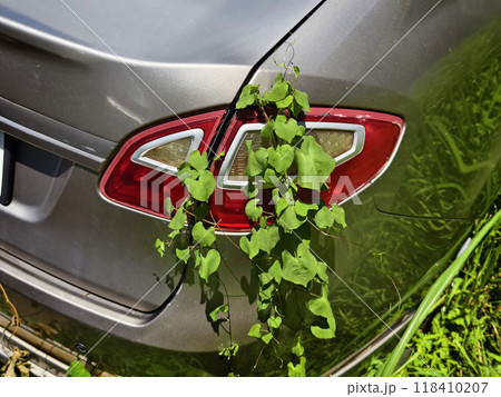 A silver car that has a broken tire and is covered with leaves 118410207