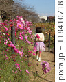 コスモスと子供の後ろ姿 118410718