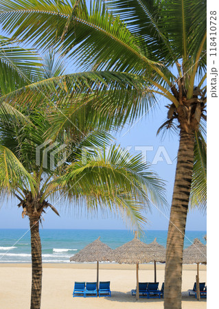 ミーケー・ビーチとビーチパラソルと椰子の木 (ベトナム, ダナン) 118410728
