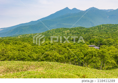 世界自然遺産 北海道知床の夏 知床五湖 世界自然遺産 北海道知床の夏 知床五湖 118411289