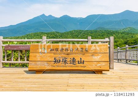 世界自然遺産　北海道知床の夏　知床五湖 118411293