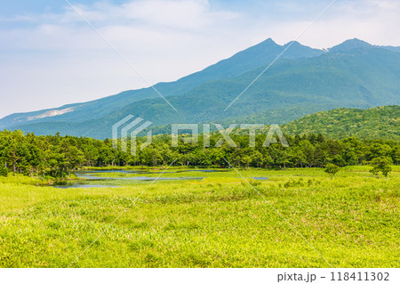 世界自然遺産 北海道知床の夏 知床五湖 世界自然遺産 北海道知床の夏 知床五湖 118411302