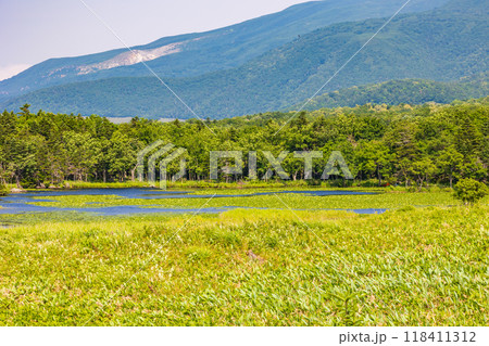 世界自然遺産 北海道知床の夏 知床五湖 世界自然遺産 北海道知床の夏 知床五湖 118411312