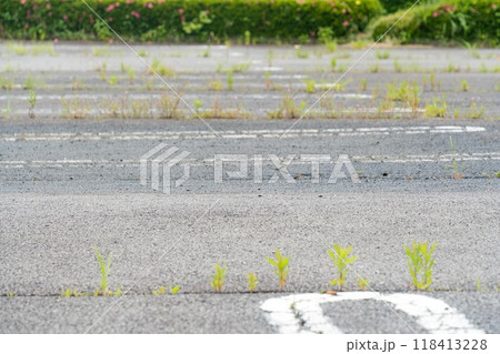 雑草が生えた駐車場 雑草が生えた駐車場 118413228
