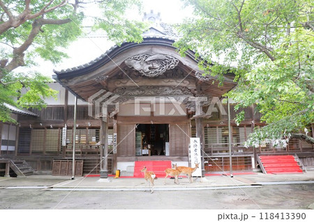 黄金山神社 祈禱殿 金華山 宮城県 黄金山神社 祈禱殿 金華山 宮城県 118413390