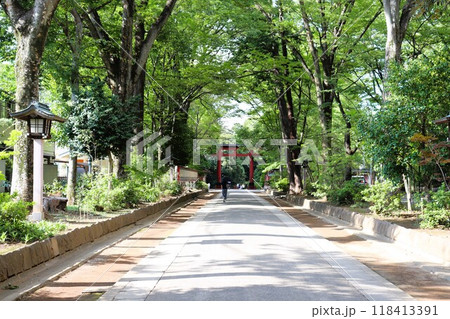 氷川神社の参道 大宮市 埼玉県 氷川神社の参道 大宮市 埼玉県 118413391
