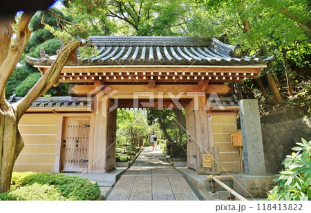 深緑の報国寺山門 深緑の報国寺山門 118413822