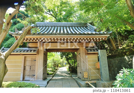 緑に囲まれた報国寺山門 緑に囲まれた報国寺山門 118413861