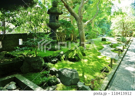 緑豊かな報国寺の庭園 118413912