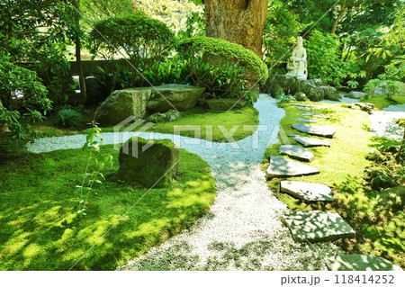 緑豊かな報国寺の庭園 緑豊かな報国寺の庭園 118414252