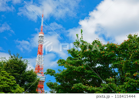 東京タワーと青い空に白い雲 麻布台ヒルズあり 東京タワーと青い空に白い雲 麻布台ヒルズあり 118415444