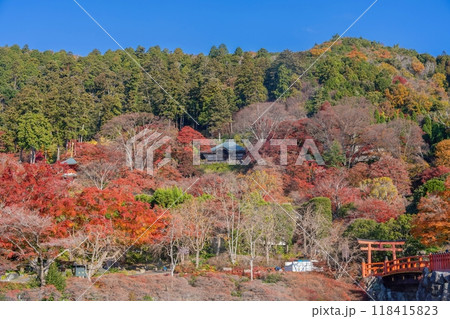 青空バックに見るちょうど見頃のカラフルな紅葉に囲まれたお寺の情景 青空バックに見るちょうど見頃のカラフルな紅葉に囲まれたお寺の情景 118415823