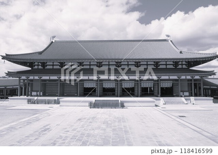 奈良薬師寺東院堂 モノクロ 奈良薬師寺東院堂 モノクロ 118416599