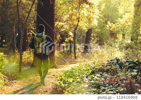 Hiker, backpacker and hiking in nature forest, trekking woods or trees for adventure, relax workout or fitness exercise. Behind man, walking or person in environment, travel or morning wellness 118416908