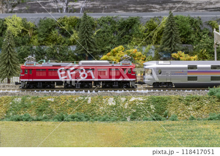 Nゲージ EF81 95 カシオペア04 Nゲージ EF81 95 カシオペア04 118417051