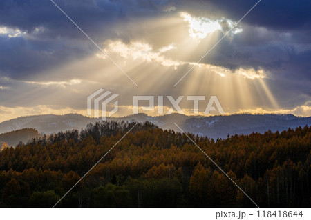 天使の梯子 天使の梯子 118418644