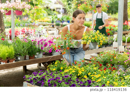 Girl choosing potted flowers calibrachoa (million bells) at flower sale at flower market sale Girl choosing potted flowers calibrachoa (million bells) at flower sale at flower market sale 118419136