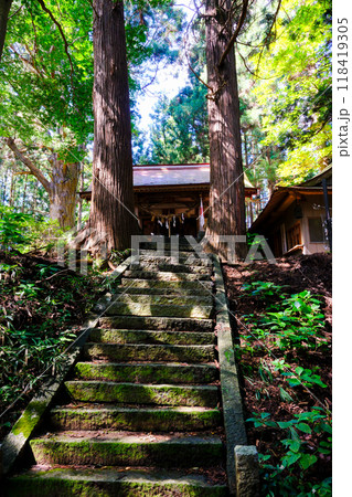 戸隠神社表参道と社殿（縦） 118419305