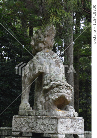 狛犬(吽形像)（倭文(しとり･しずり)神社／鳥取県東伯郡湯梨浜町大字宮内754） 118419830