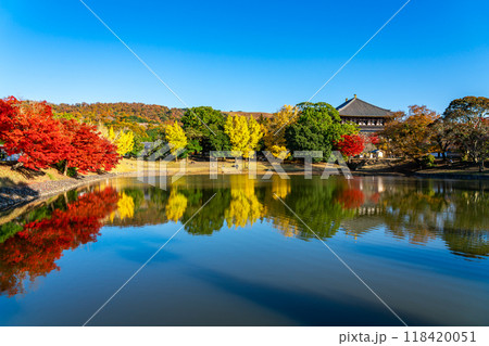 【奈良県】東大寺の大仏池を彩る鮮やかな紅葉 【奈良県】東大寺の大仏池を彩る鮮やかな紅葉 118420051