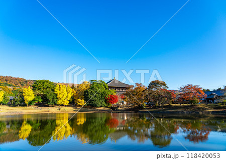 【奈良県】東大寺の大仏池を彩る鮮やかな紅葉 118420053