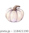 水彩で描いたハロウィンのかぼちゃ 118421190