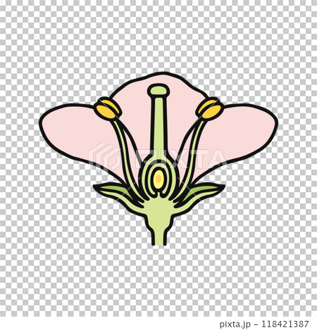 How flowers are made How flowers are made 118421387