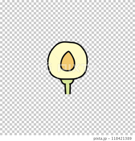 種子 水果 種子 水果 118421389